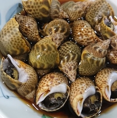 食感抜群 スダレ貝の酒蒸し レシピ 作り方 By ここなっつん 楽天レシピ 食感抜群 スダレ貝の酒蒸し レシピ 作り方 By ここなっつん 楽天レシピ